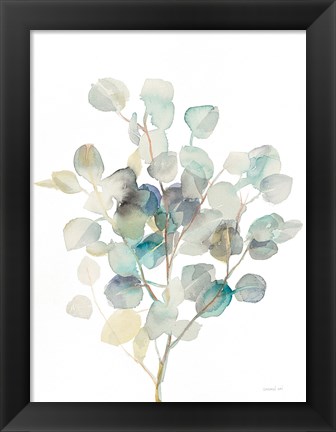 Framed Eucalyptus III White Print