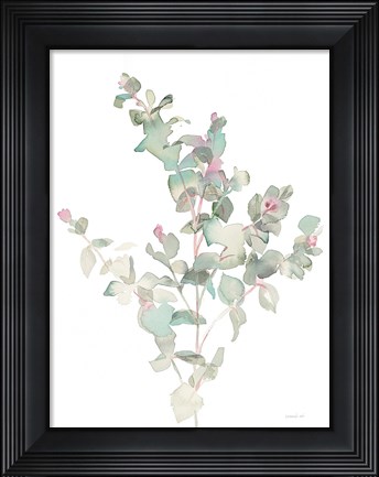 Framed Eucalyptus II White Print