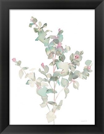 Framed Eucalyptus II White Print