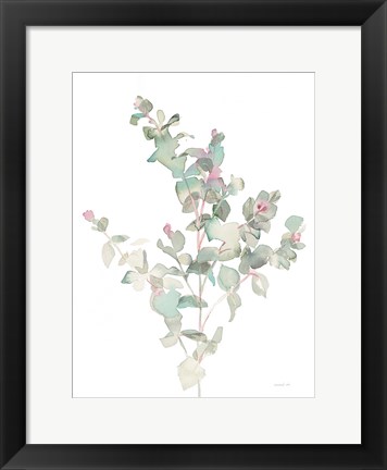 Framed Eucalyptus II White Print