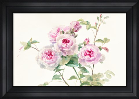 Framed Sweet Roses on White Green Print