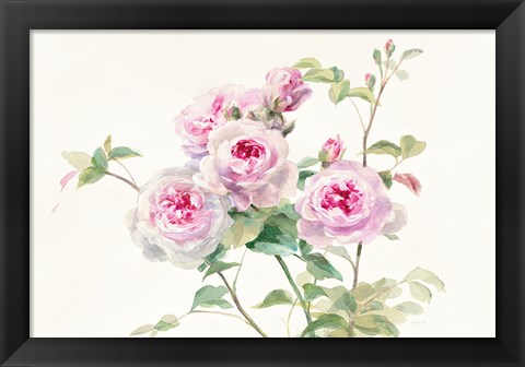 Framed Sweet Roses on White Green Print