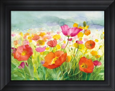 Framed Meadow Poppies Print