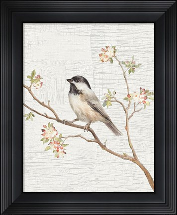 Framed Black Capped Chickadee Vintage v2 Print