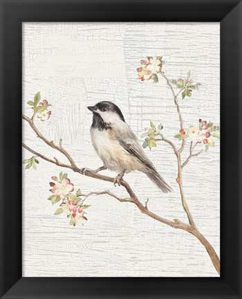 Framed Black Capped Chickadee Vintage v2 Print