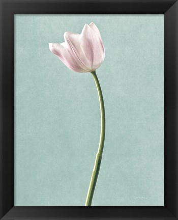 Framed Light Tulips I Harbor Gray Print