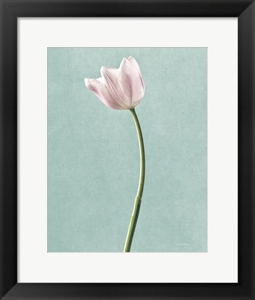 Framed Light Tulips I Harbor Gray Print