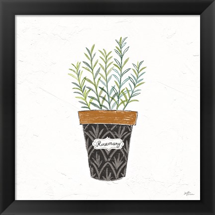 Framed Fine Herbs IX Print