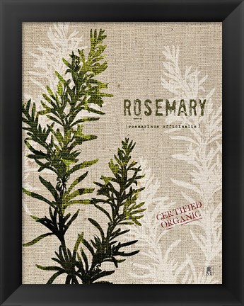 Framed Organic Rosemary No Butterfly Print