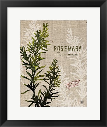 Framed Organic Rosemary No Butterfly Print