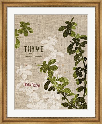 Framed Organic Thyme No Butterfly Print