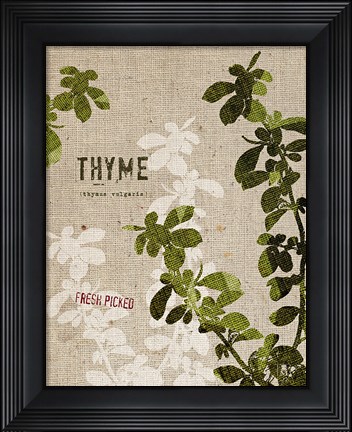 Framed Organic Thyme No Butterfly Print
