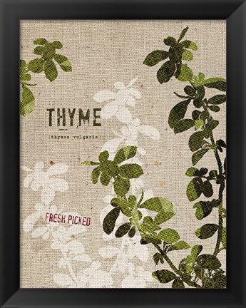 Framed Organic Thyme No Butterfly Print