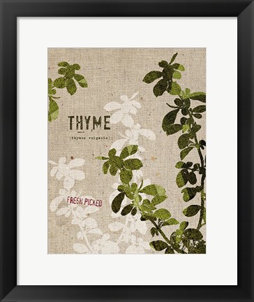 Framed Organic Thyme No Butterfly Print