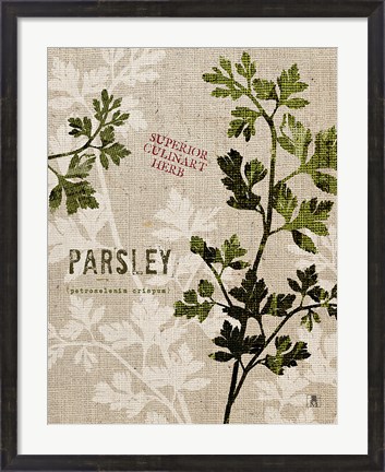 Framed Organic Parsley No Butterfly Print