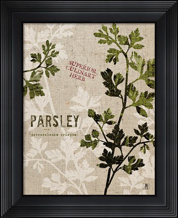 Framed Organic Parsley No Butterfly Print
