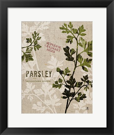 Framed Organic Parsley No Butterfly Print