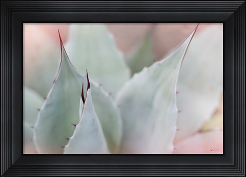 Framed Dream Desert VI Print