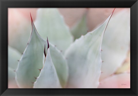 Framed Dream Desert VI Print