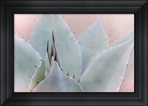 Framed Dream Desert V Print
