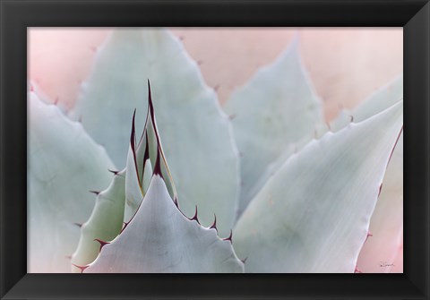 Framed Dream Desert V Print