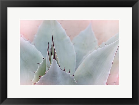 Framed Dream Desert V Print