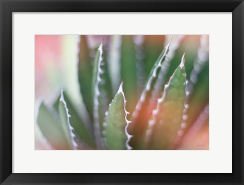 Framed Dream Desert IV Print