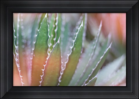 Framed Dream Desert III Print
