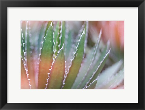 Framed Dream Desert III Print