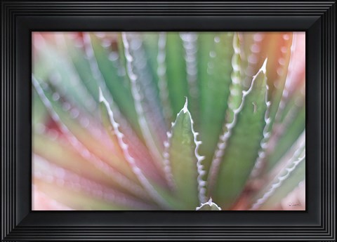 Framed Dream Desert II Print