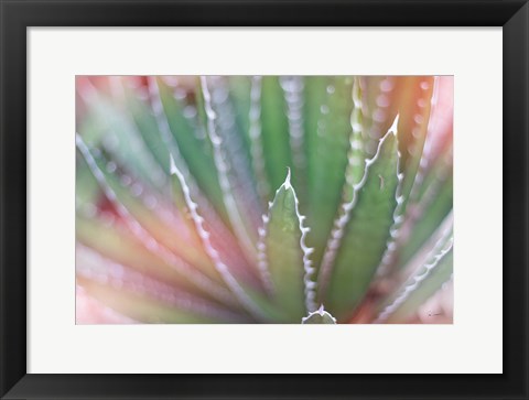 Framed Dream Desert II Print