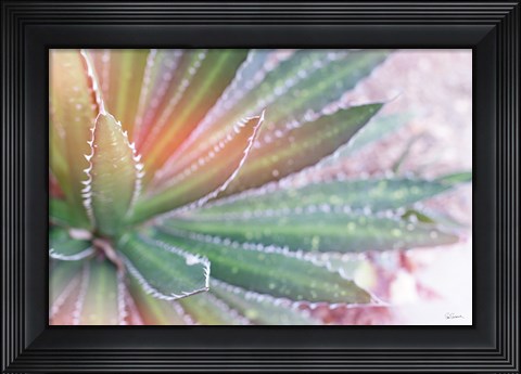 Framed Dream Desert I Print