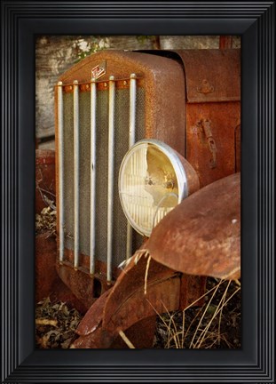 Framed Kleiber Print