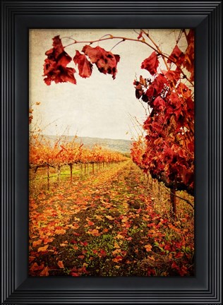 Framed Autumn Vines Print