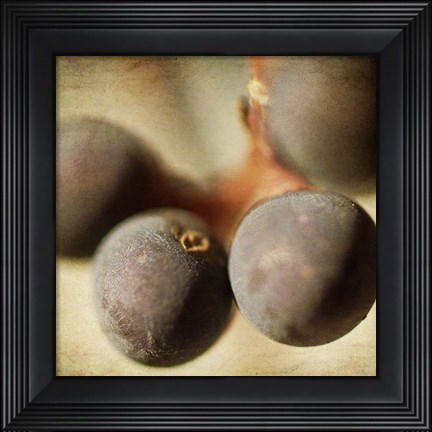 Framed Berries 5 Print