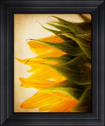 Framed Late Bloomer Print