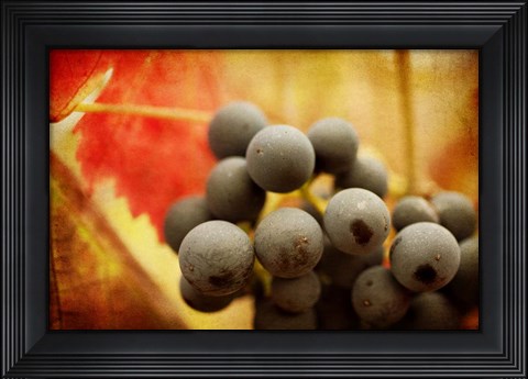 Framed Late Harvest Print