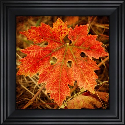 Framed Ochre Foliage Print