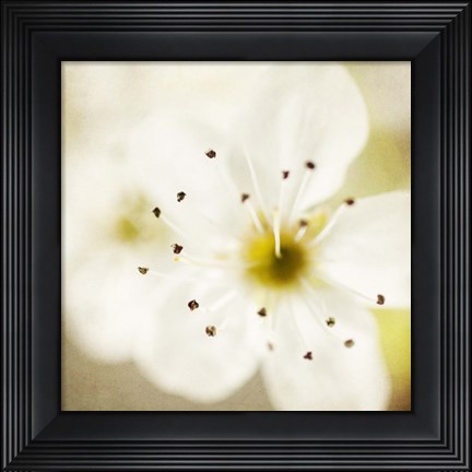 Framed Of Spring Print