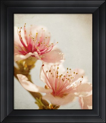 Framed Spring Whispers 1 Print