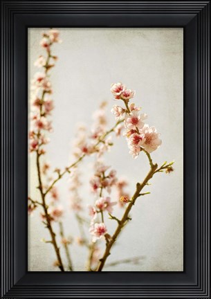 Framed Spring Whispers 2 Print