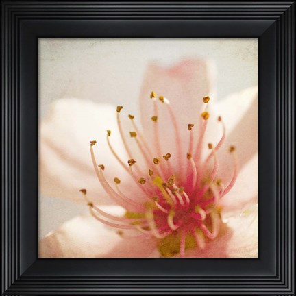 Framed Spring Whispers 3 Print