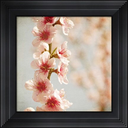 Framed Spring Whispers 4 Print