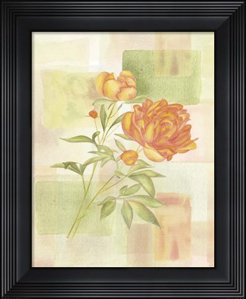 Framed Nature Print