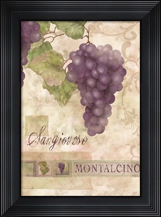 Framed Montalcino Sangiovese 2 Print