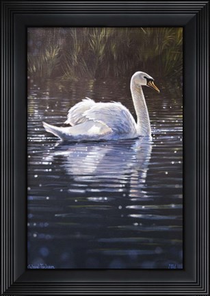 Framed Swan Print