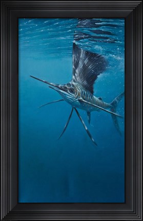 Framed Sailfish Print