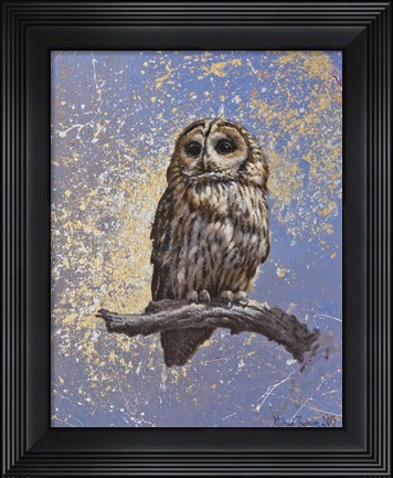Framed Owl Print