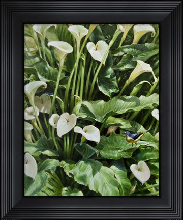Framed Callas Print