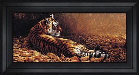 Framed Reclining Tiger Print